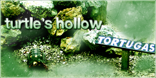 Turtle's Hollow 2!